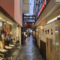 Hozenji Yokocho Alley