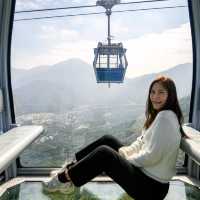นั่งกระเช้า Ngong Ping ชมวิวแบบพาโนรามา