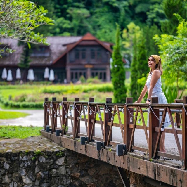 ที่พักเชียงใหม่ ท่ามกลางสวน แบะลำธาร