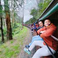 Charming Escape: My Puffing Billy Railway Experience