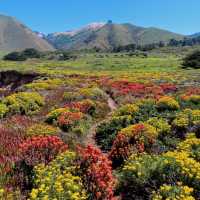 The Hidden Beaches of Big Sur, California