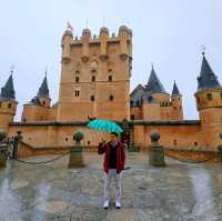 A Day Tour Through Segovia, Salamanca, and Toledo: History and Flavors