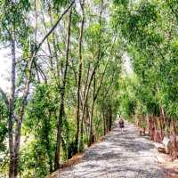 🇰🇭 Choeung Ek: A Somber Reminder of Cambodia's Dark Past
