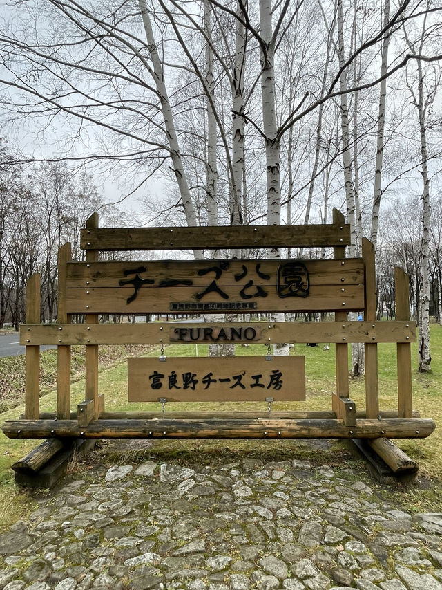 【北海道】有名観光地を巡るバスツアー🚌