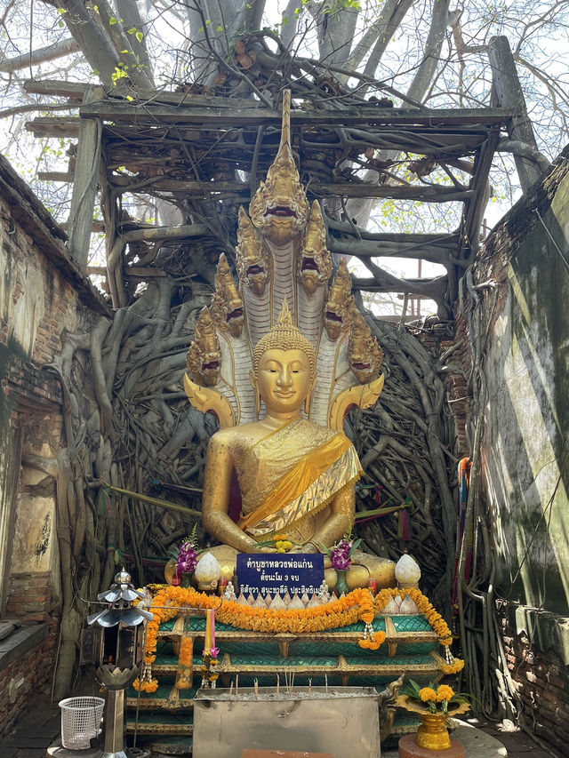 แต้มบุญต้องอย่าขาด...