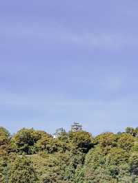 📍越前おおの結楽座