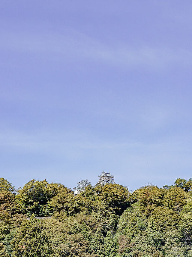 📍越前おおの結楽座