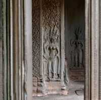 See Angkor Wat and Die