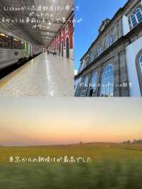 Lisbonから日帰り高速列車の旅！ポルトでアズレージョを探す旅