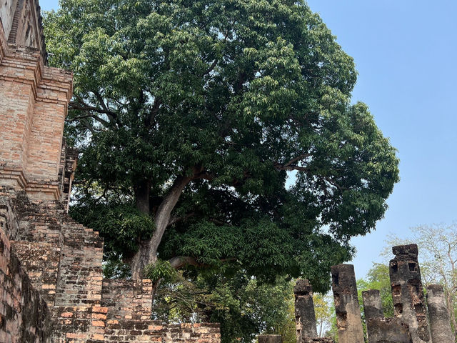 วัดศรีชุม (พระอจนะ) สุโขทัย