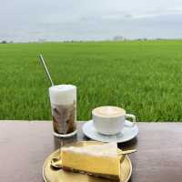 Sekinchan paddy field 