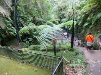 Ubud, the first place that I have visited in Bali
