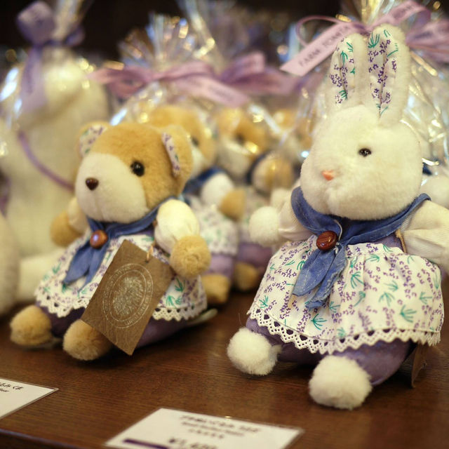 Hokkaido 3D2N - Lavender, Lavender, and Flower