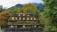 由台灣男友告訴你七件關於太平山國家森林遊樂區的事💁🏻‍♂️