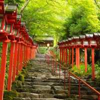 【京都/鞍馬】本当は教えたくない！京都の名所