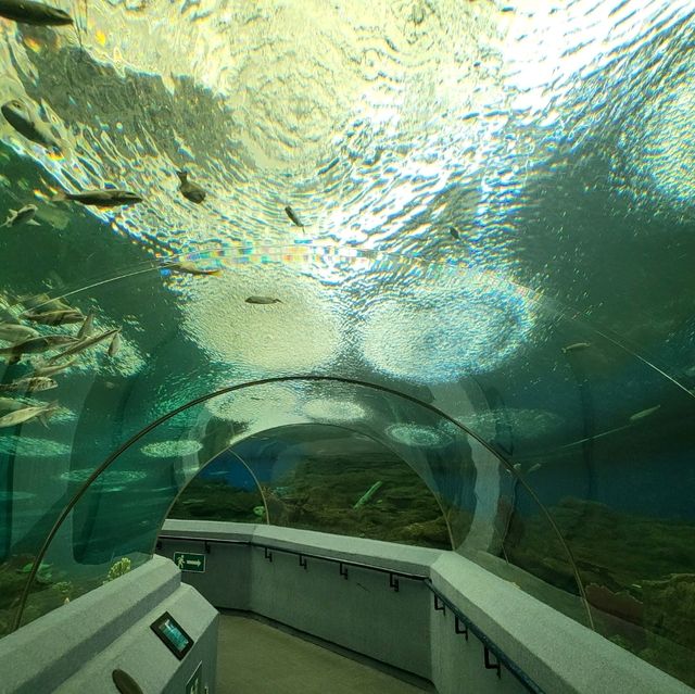 Underwater World Pattaya 