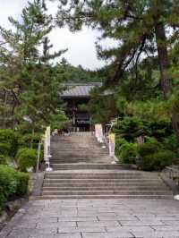奈良の絶景✨カラフルな菊の花○○○鉢 菊の回廊2024開催中10/5~12/8迄。