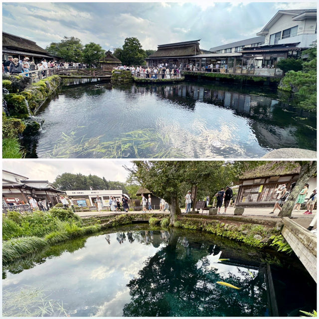 東京郊區自然美景：忍野八海