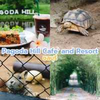 Pagoda Hill Cafe' and Resort