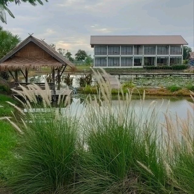 บ้านพาทิศ