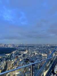 🇯🇵 東京最高點景色🫶🏻🌃