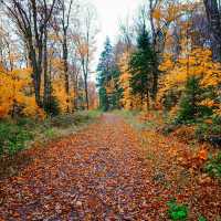 Autumn in Quebec: A Symphony of Colors