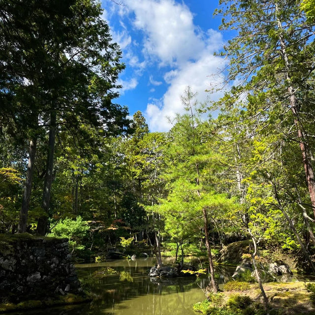 麻生不動院：小橋流水中的日式韻味 🌸🏯