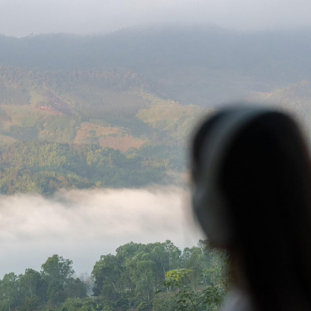 'Mobu' ที่พัก #ดอยช้าง มันดีมาก!! ⛰️🛁