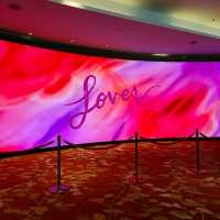What To Do at Marina Bay Sands