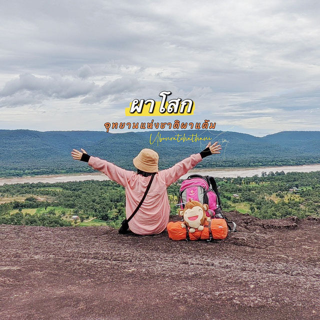 เดินเท้าขึ้นผาโสก - ชมวิวจากุชชี่ลอยฟ้า