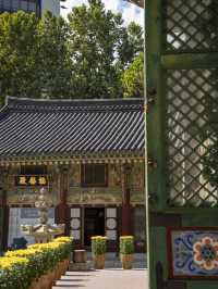 Extremely Instagramable Buddhist Temple in Downtown of Seoul 