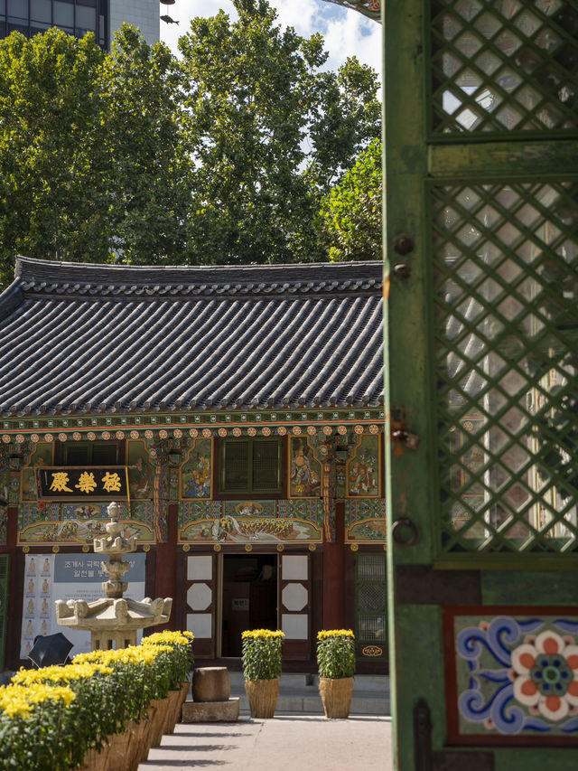 Extremely Instagramable Buddhist Temple in Downtown of Seoul 