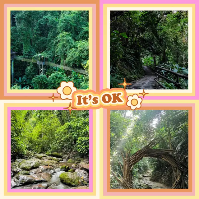 ～內洞森林遊樂區～大自然樂園～