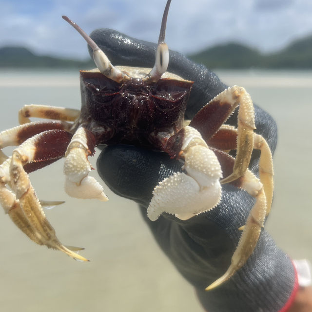 泰國布吉瑤諾島