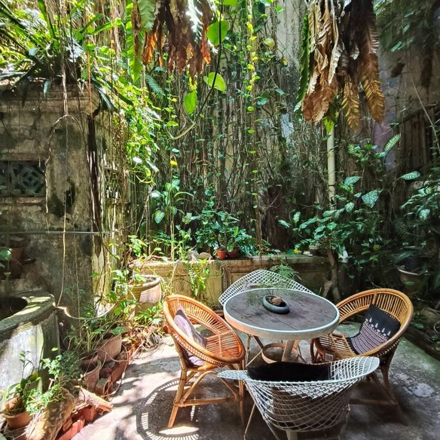 Green Environment Nice place enjoying coffee @The Baboon House 
