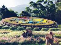 Discovering the Beauty of Citizen Recreational Garden 