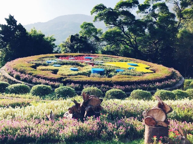 Discovering the Beauty of Citizen Recreational Garden 