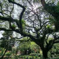 Very Beautiful Garden at Fort Canning Park in Singapore