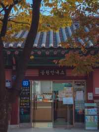 물범카 타고 서해바다를 한 눈에 담을 수 있는 이곳 “월미산 ” 