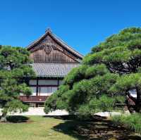 京都的歷史與文化遺產的魅力✨ 二條城🏯