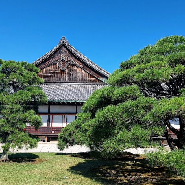 京都的歷史與文化遺產的魅力✨ 二條城🏯