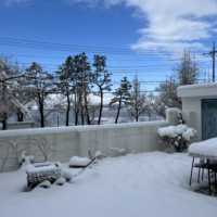 가족들이랑 한겨울 속초여행❄️ 영랑호 해변과 대게에 닭강정까지🍗