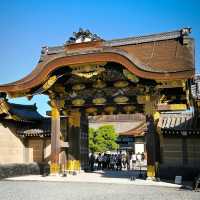 京都的歷史與文化遺產的魅力✨ 二條城🏯