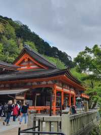 Kiyomizu Dera⛩️🗾