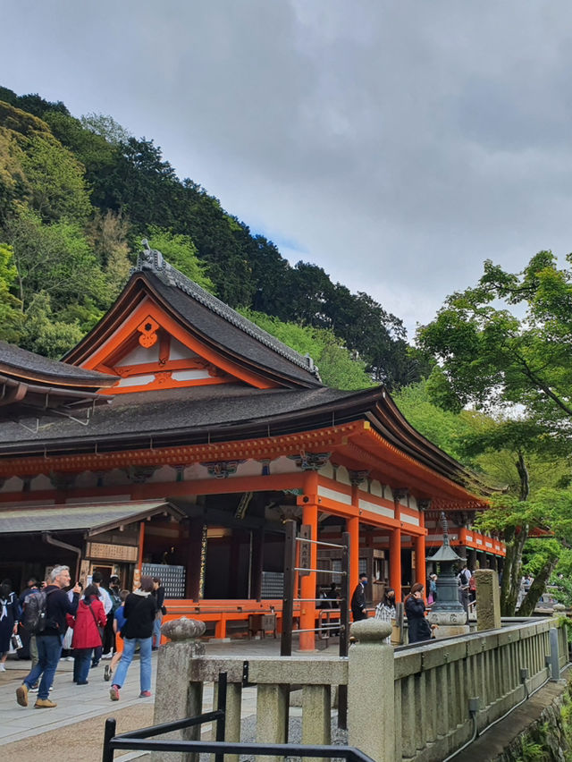 Kiyomizu Dera⛩️🗾