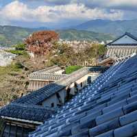 四國愛媛松山城