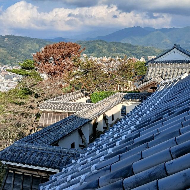 四國愛媛松山城