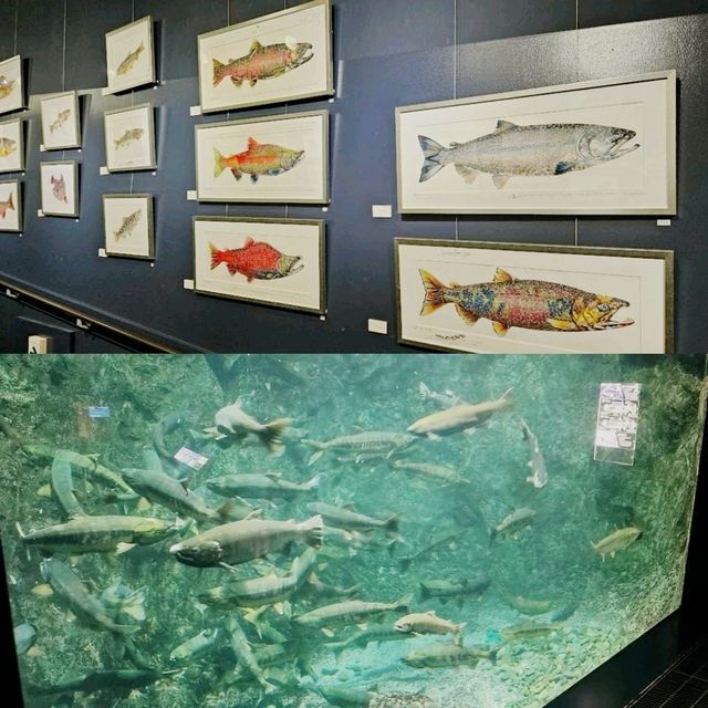 北海道好去處