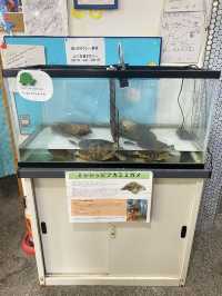 【香川県】マリンレストと玉嶋弁財天