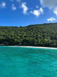 A beautiful beach 🏖️ 